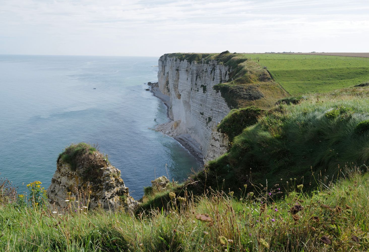 Grassy Cliffs Photos, Download The BEST Free Grassy Cliffs Stock Photos ...