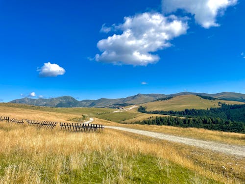 Gratis stockfoto met bergen, blauwe lucht, gras