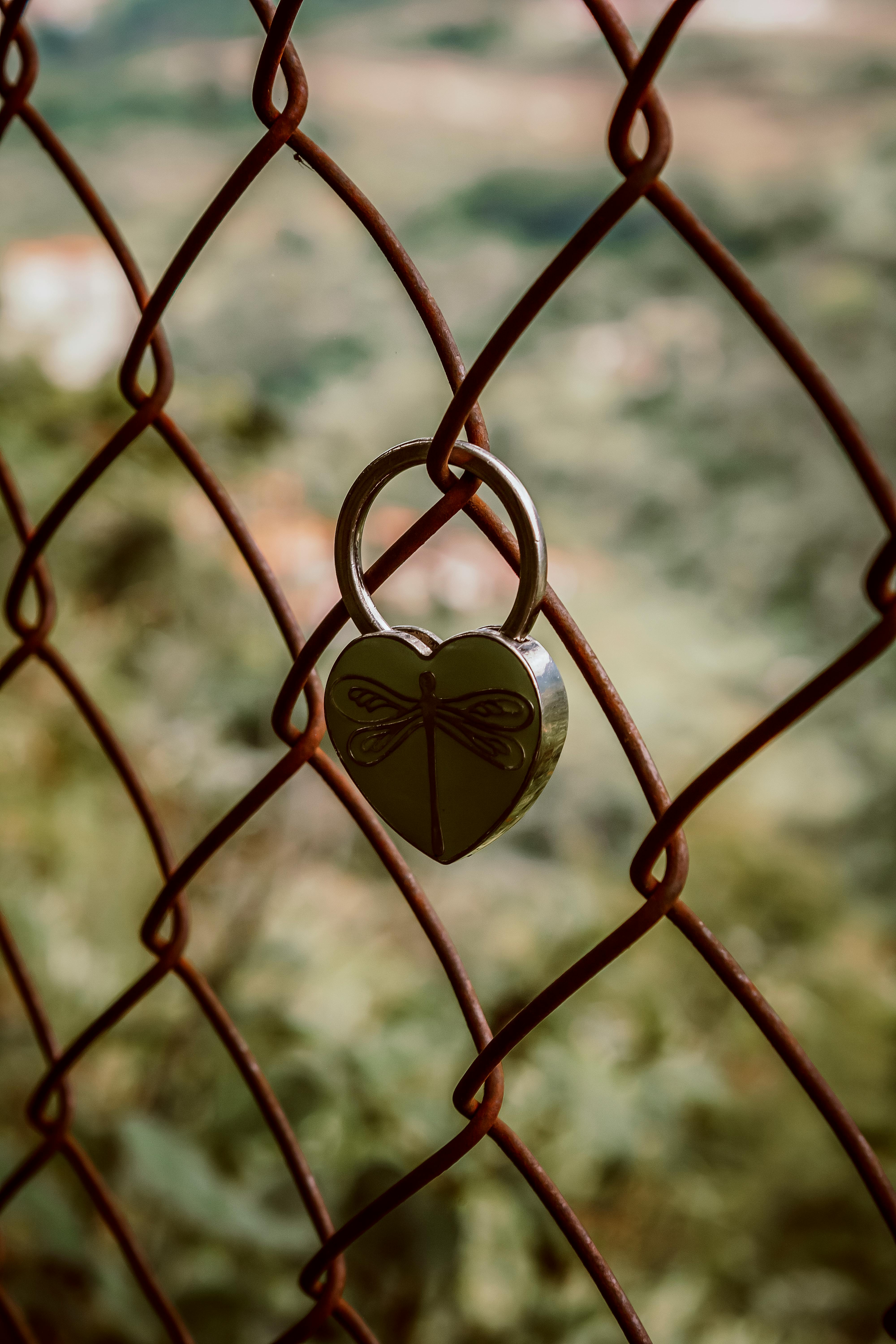A Heart Shaped Lock On A Chain Link Fence · Free Stock Photo
