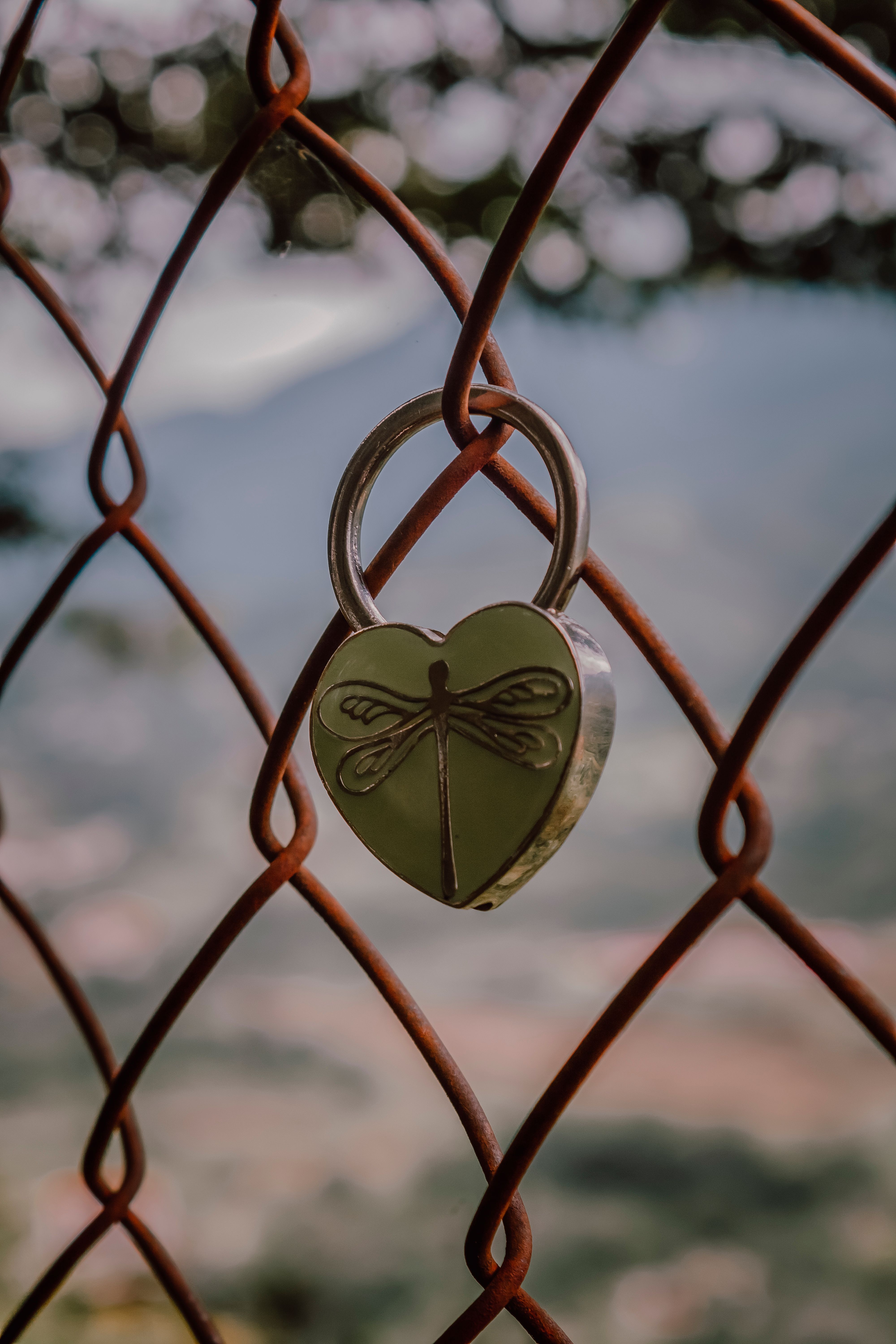 A heart-shaped padlock with a dragonfly design on a chain link fence in Mérida, Venezuela.