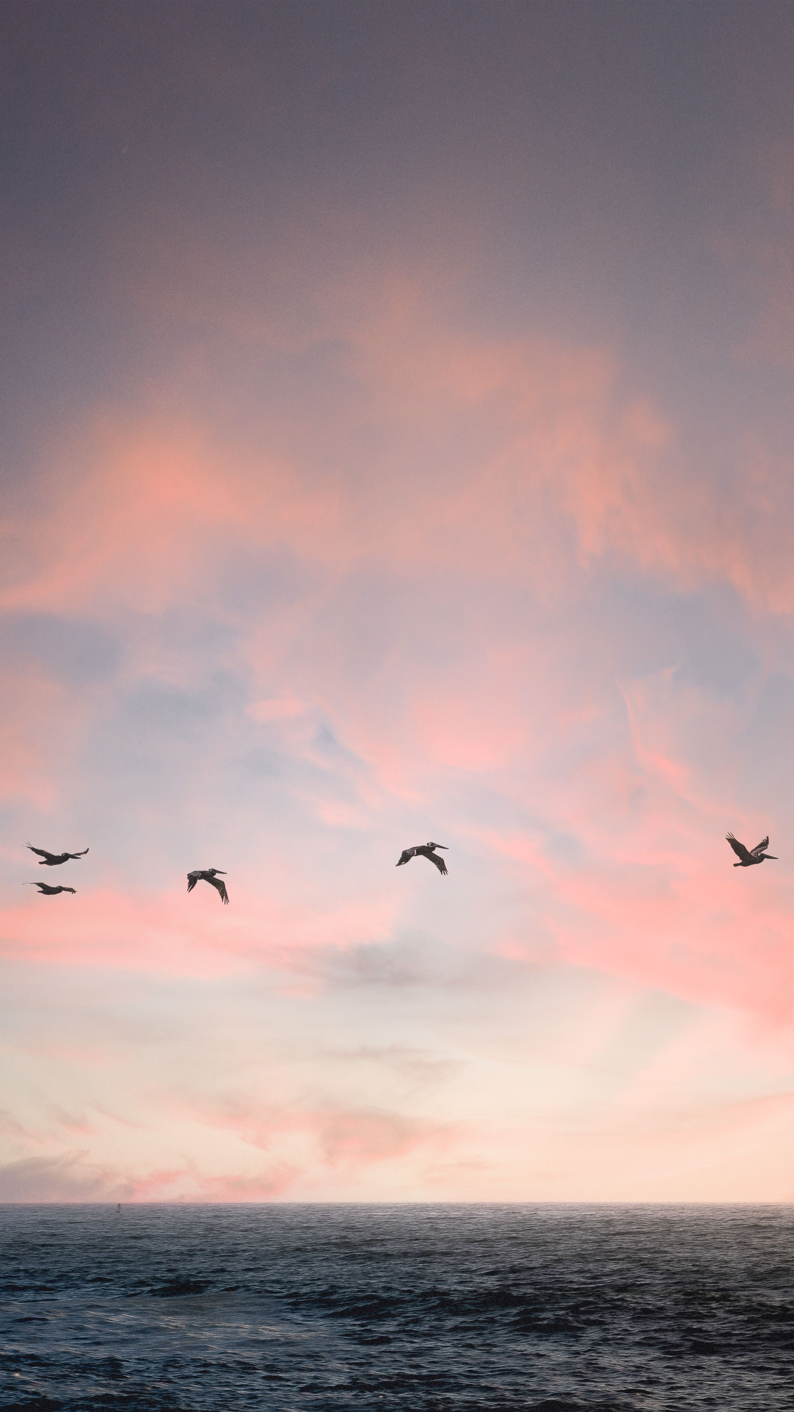 Capture of a peaceful sunset over the ocean with birds flying against a pastel sky.