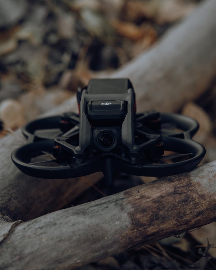 Drone On A Tree In A Forest