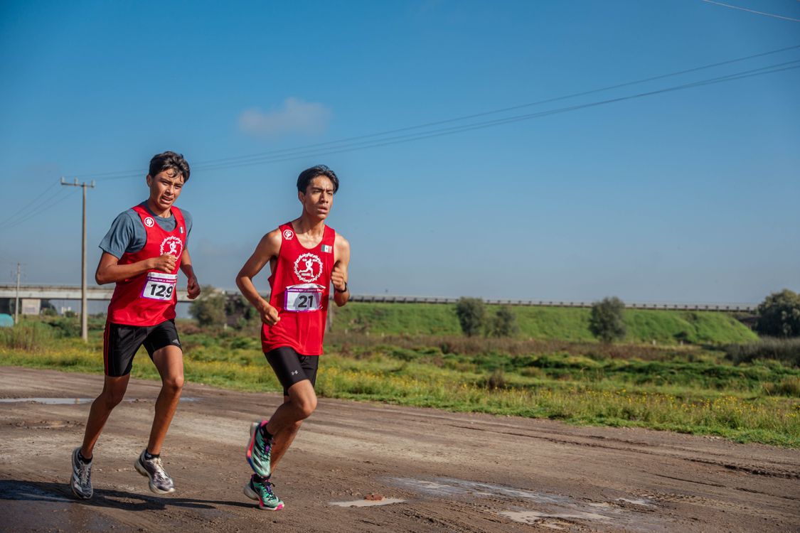Men Running in Race · Free Stock Photo