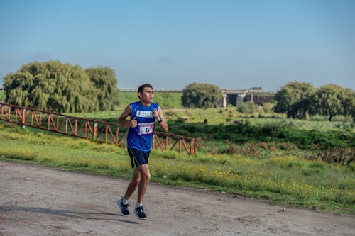 Foto d'estoc gratuïta de cabell curt, camí de carro, carrera