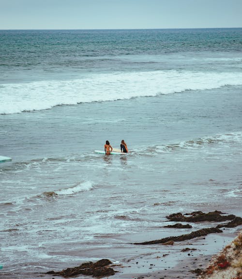 Free Women Swimming in the Sea  Stock Photo