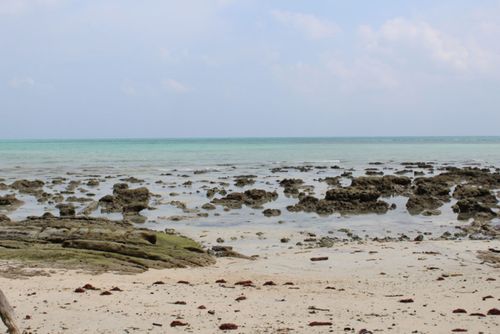 Free stock photo of beach, by the sea Stock Photo