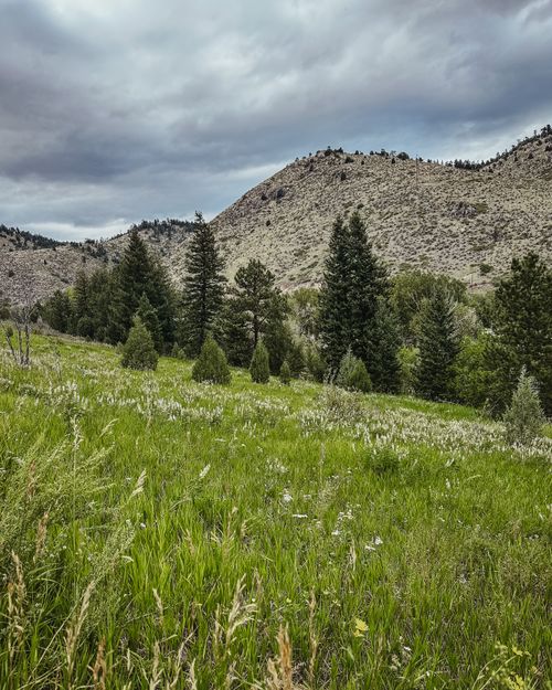 Free Serene view of mountains, evergreens, and grassy fields under a cloudy sky, capturing nature's beauty. Stock Photo
