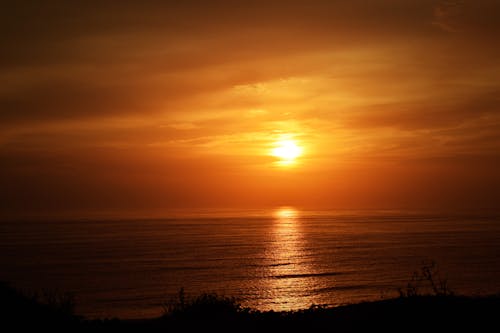 Yellow Sky over Sea Coast at Sunset