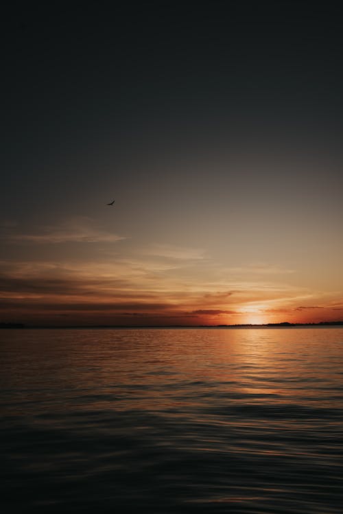 Lake During Sunset