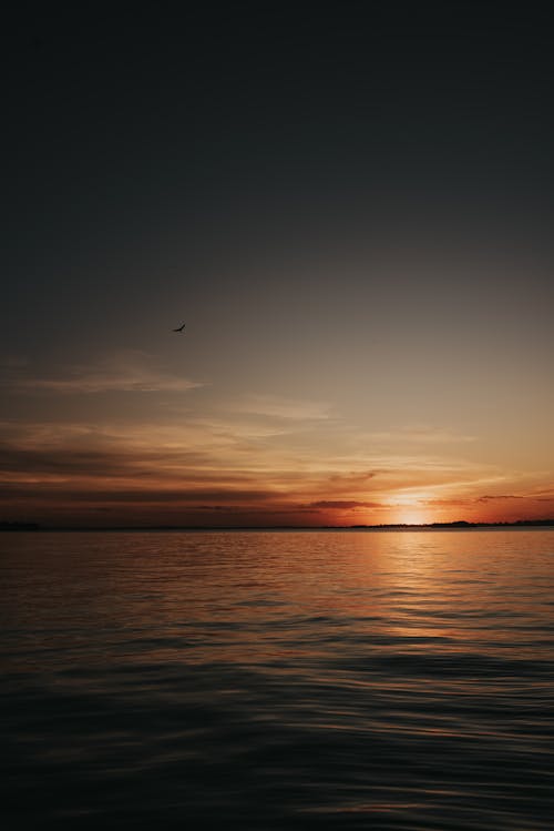 Základová fotografie zdarma na téma jezero, obloha, odraz