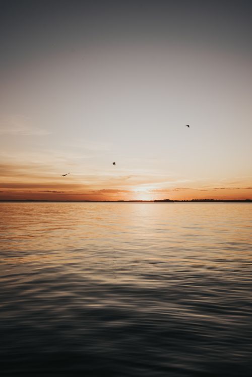 Free Serene sunset over a calm lake with birds in flight and a stunning sky reflection. Stock Photo