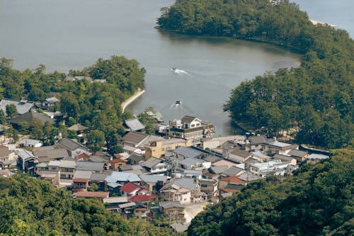 城鎮, 建築, 森林 的 免費圖庫相片