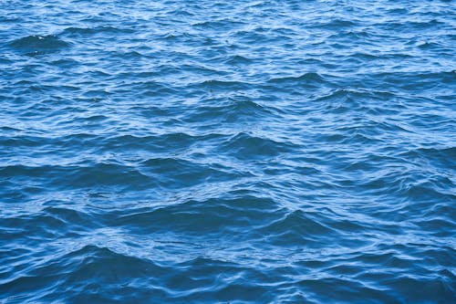 Wavy, Blue Water