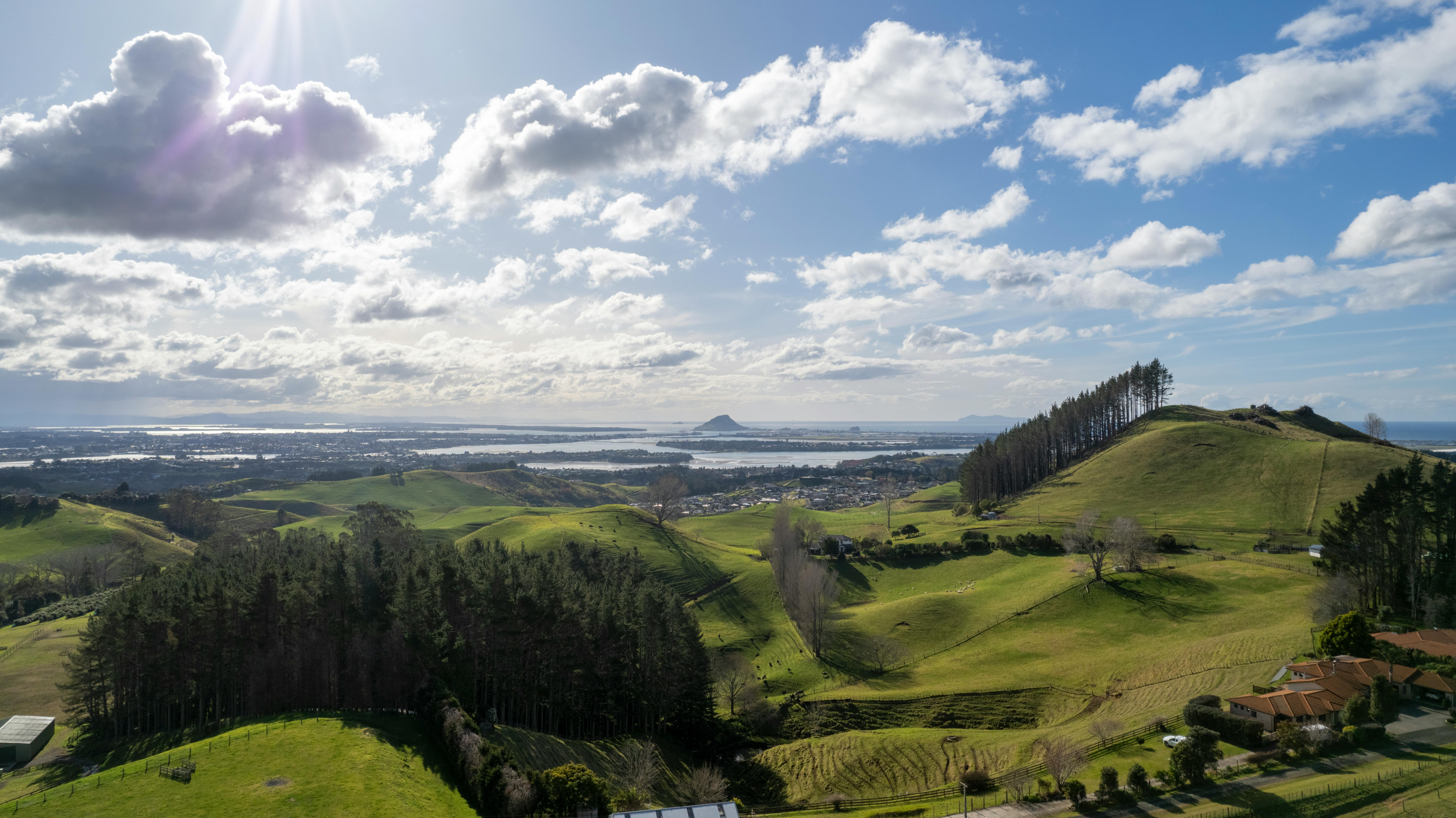General Travel New Zealand hosts five-city roadshow in India — Photo by Ollie Craig on Pexels