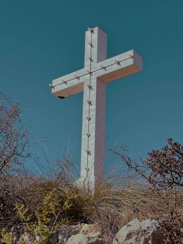 Cross Behind Bushes