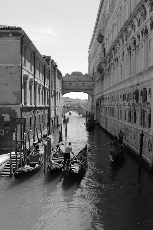 Základová fotografie zdarma na téma Benátky, budovy, černobílý
