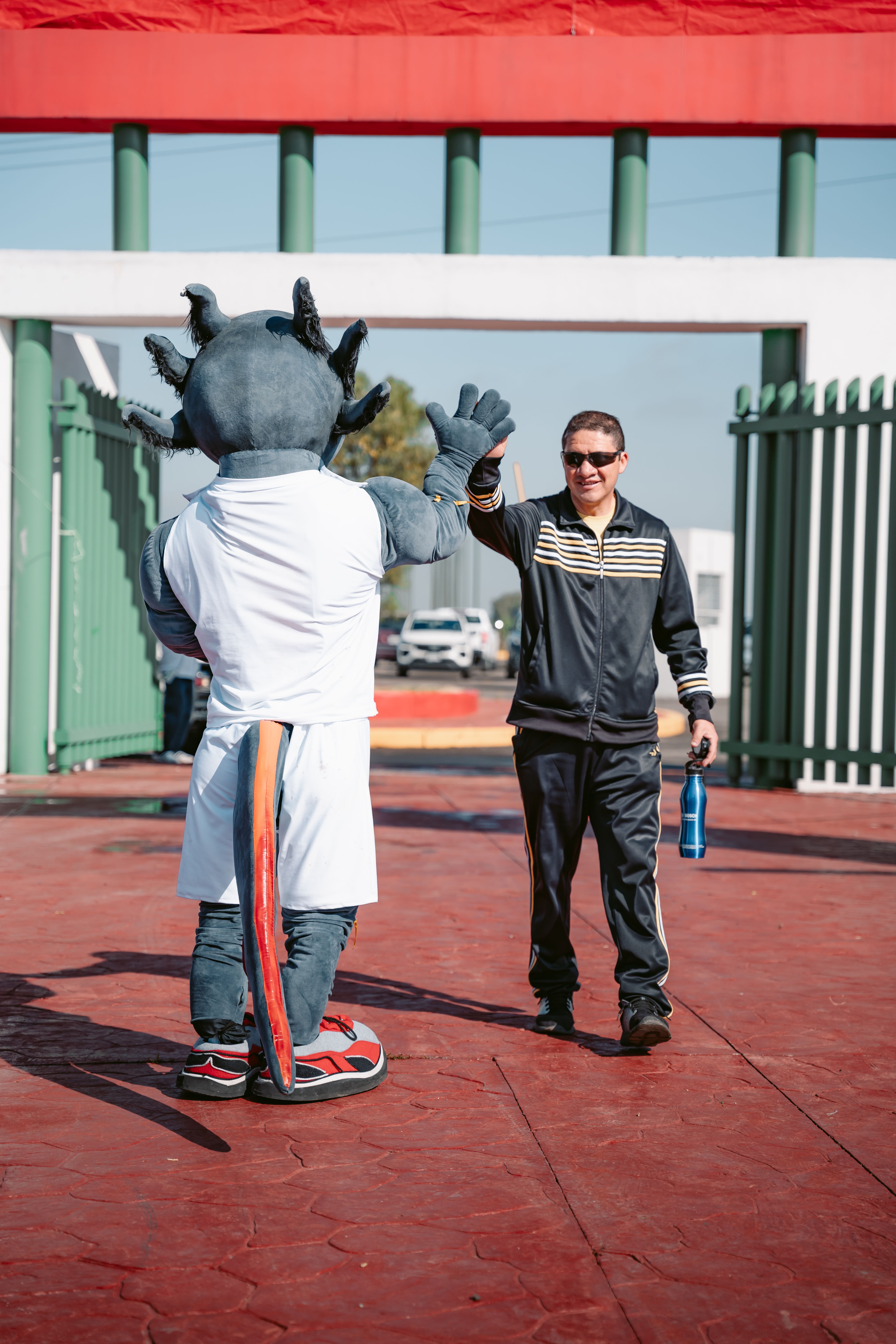 Lee Corso on set demonstrating a professional career transition strategy