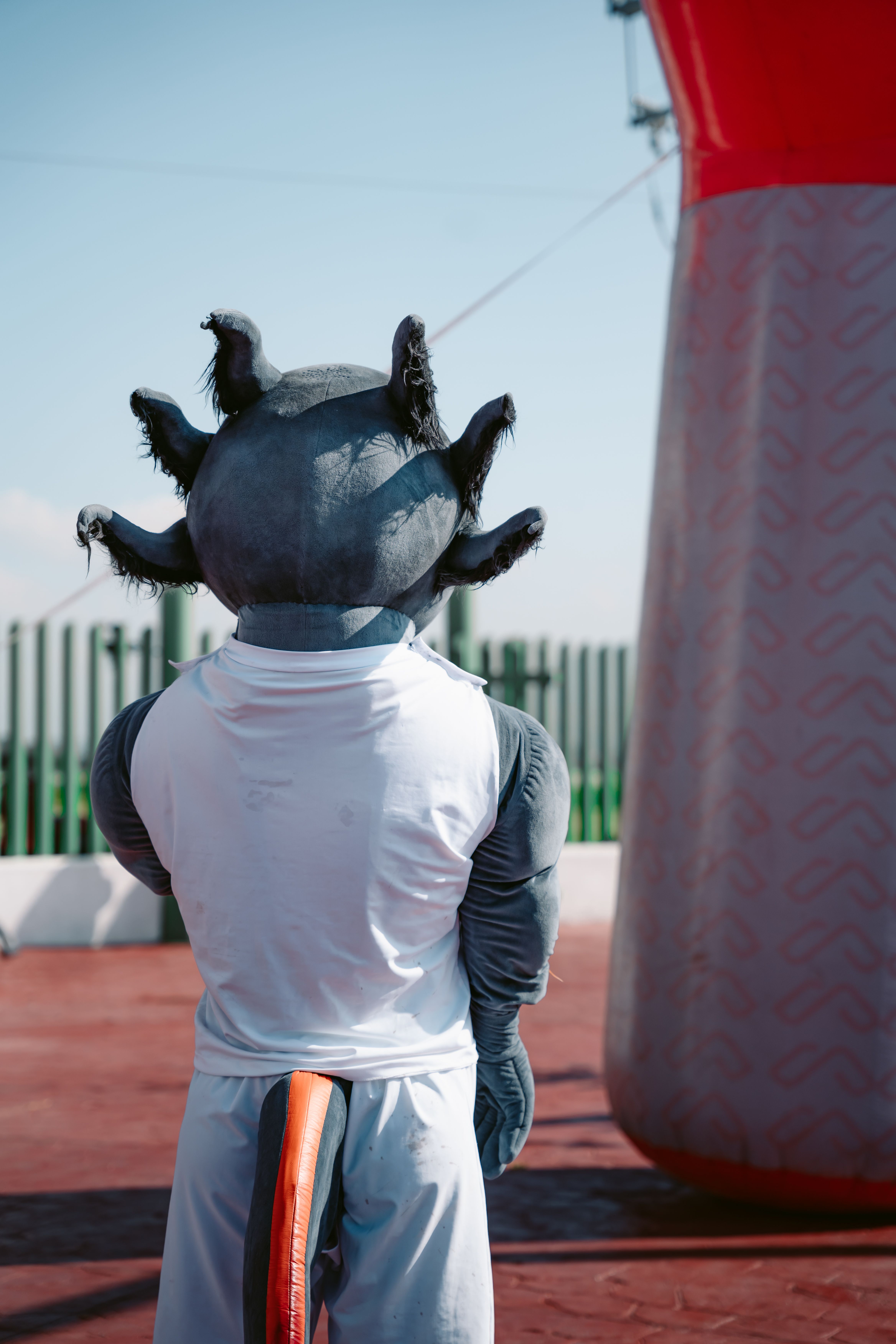 Back View of a Person in an Animal Costume · Free Stock Photo