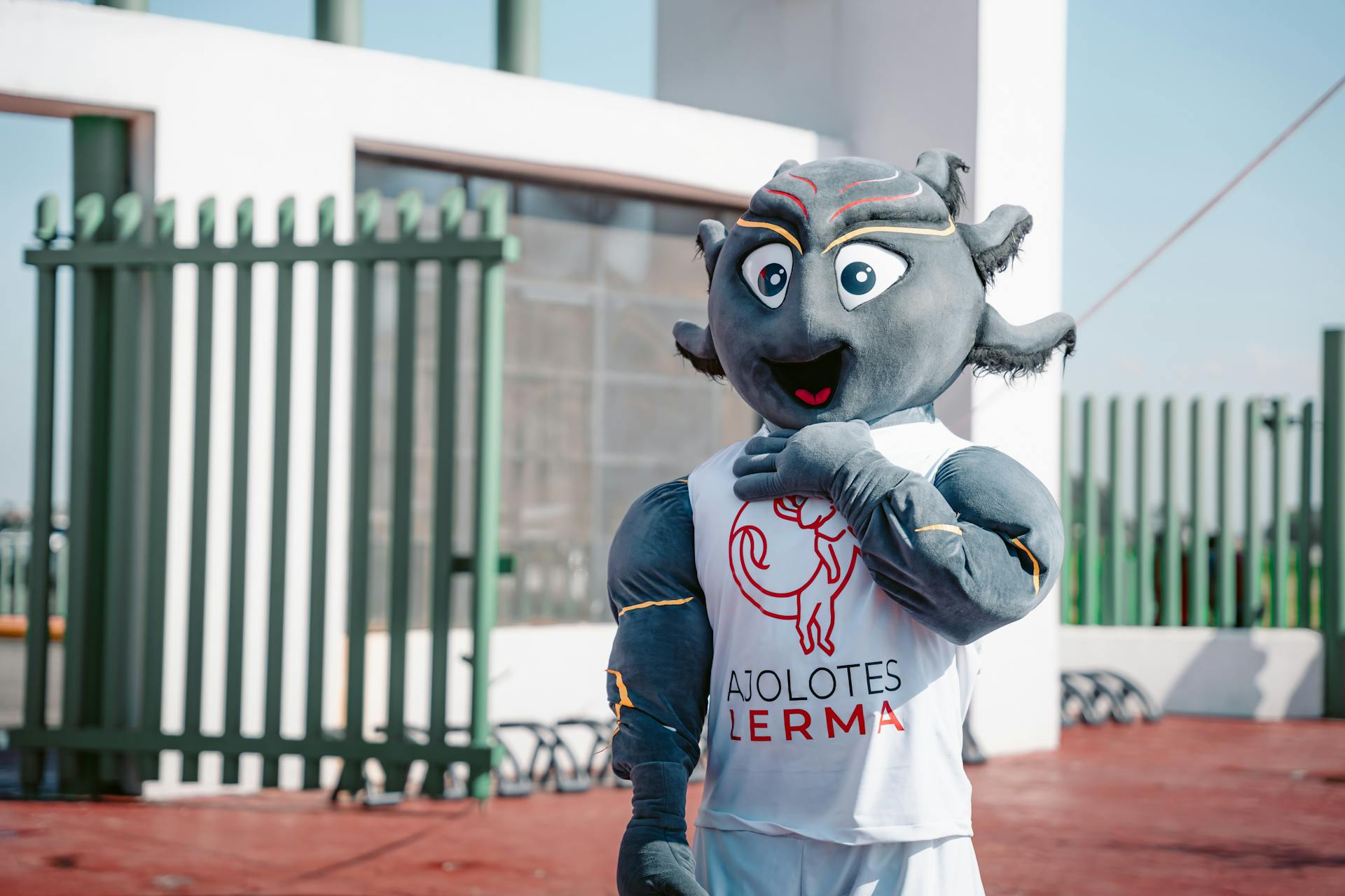 Mascot on Sport Event