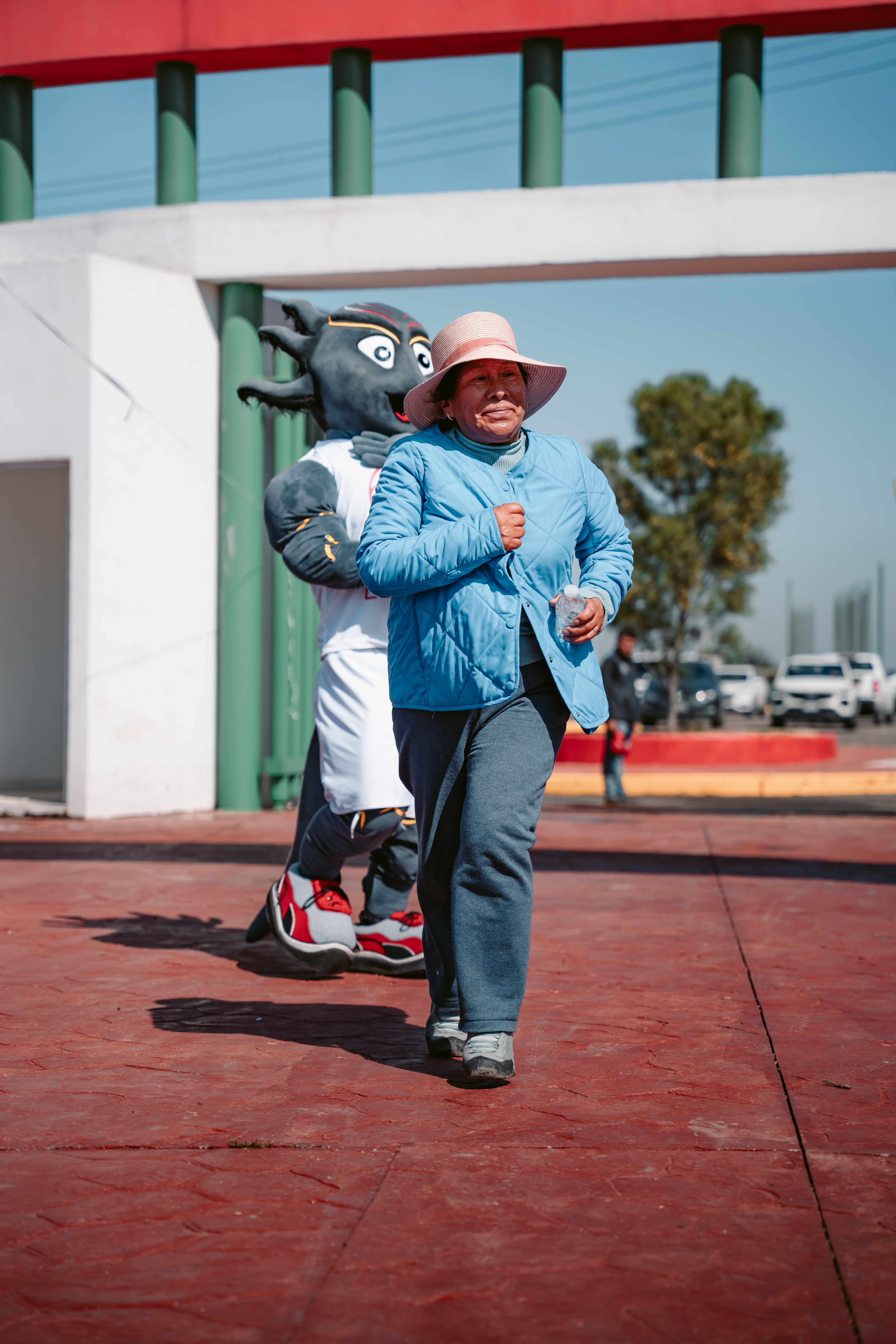 Mascoicolfeb 29