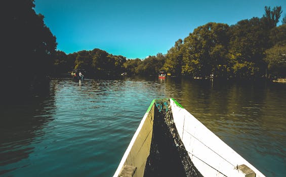 在郁郁葱葱的森林中穿行，享受宁静的河流之旅
