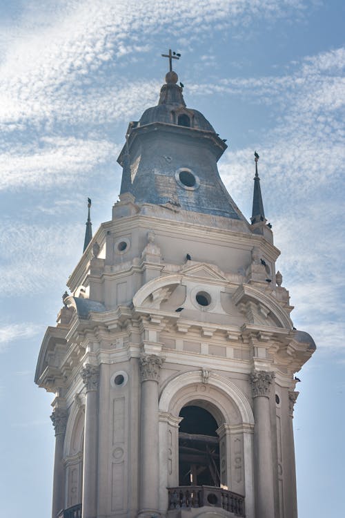 가톨릭, 대성당, 도시의 무료 스톡 사진
