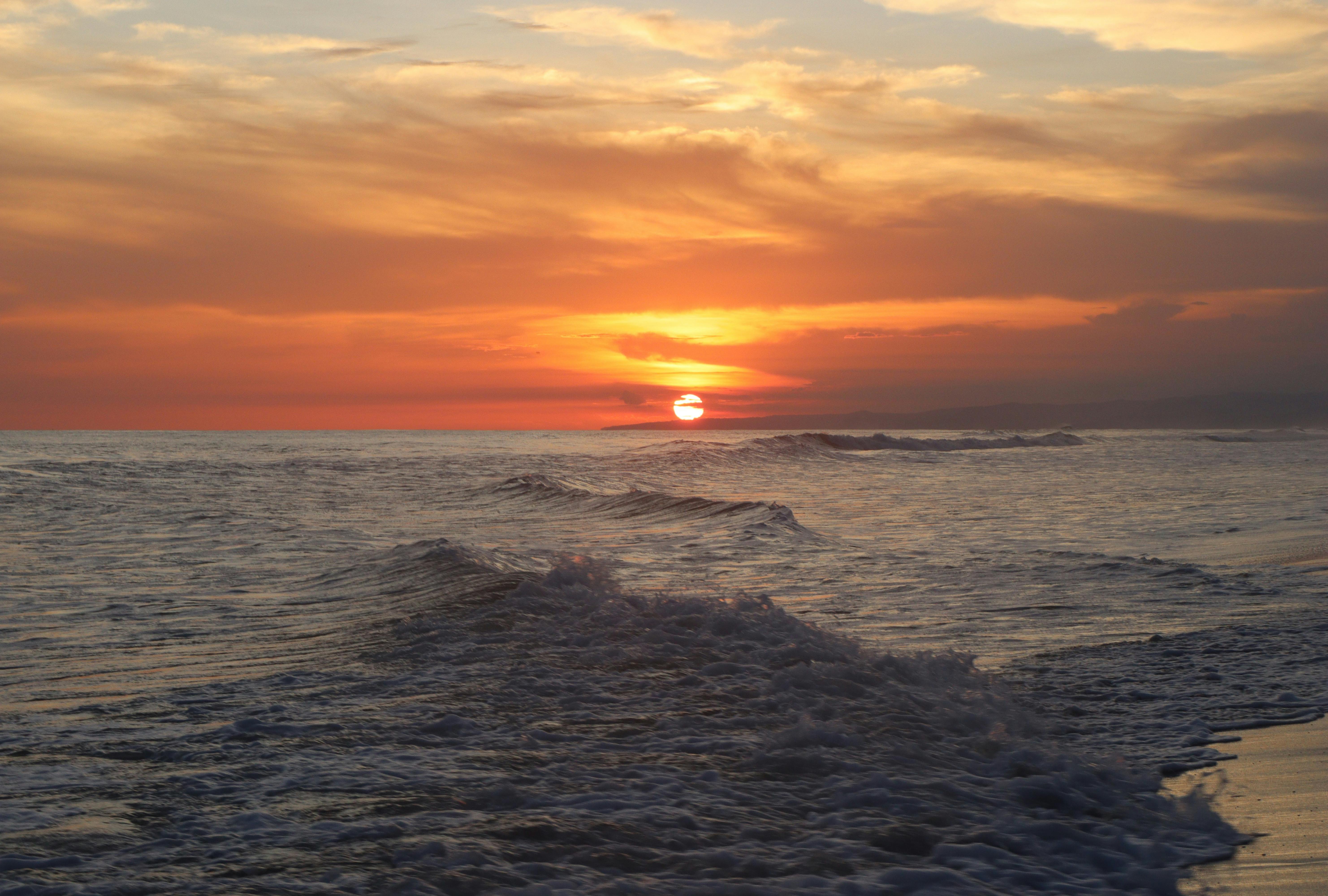 big-wave-on-sea-shore-free-stock-photo