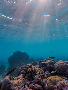 Stunning underwater view of coral reefs with sunlight streaming through clear blue sea water.