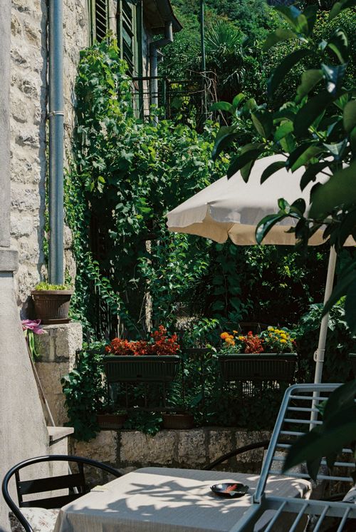 Free A cozy terrace in Kotor, Montenegro, adorned with lush plants and bright flowers under a sun umbrella. Stock Photo