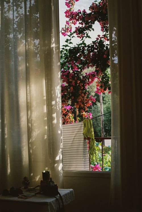Free A tranquil indoor scene featuring delicate curtains and vibrant bougainvillea flowers outside the window. Stock Photo