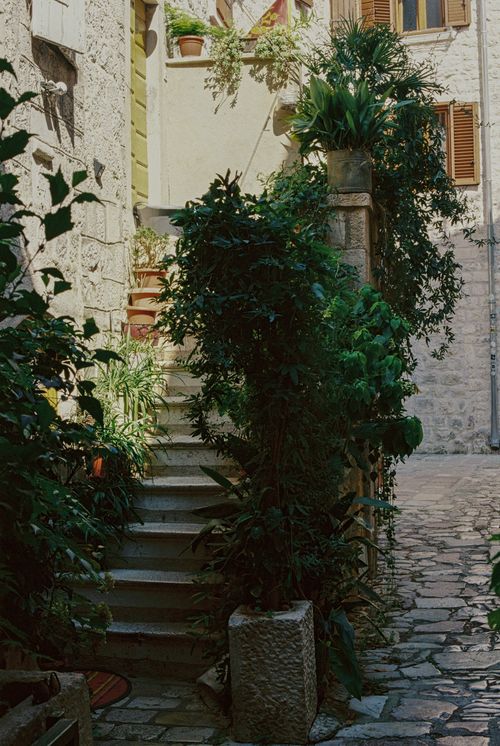 Free Charming cobblestone street with stone steps and lush potted plants in a sunlit European alleyway. Stock Photo