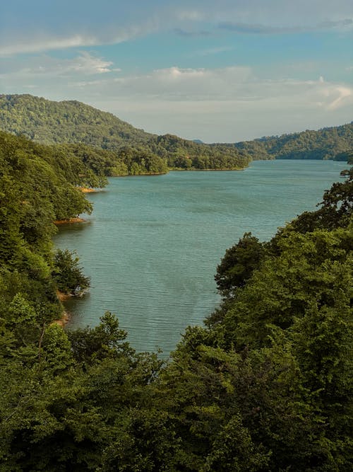 Free Landscape with Forests and a Lake Stock Photo