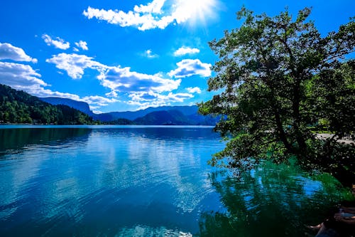 Calm Body of Water Under Blue Sky