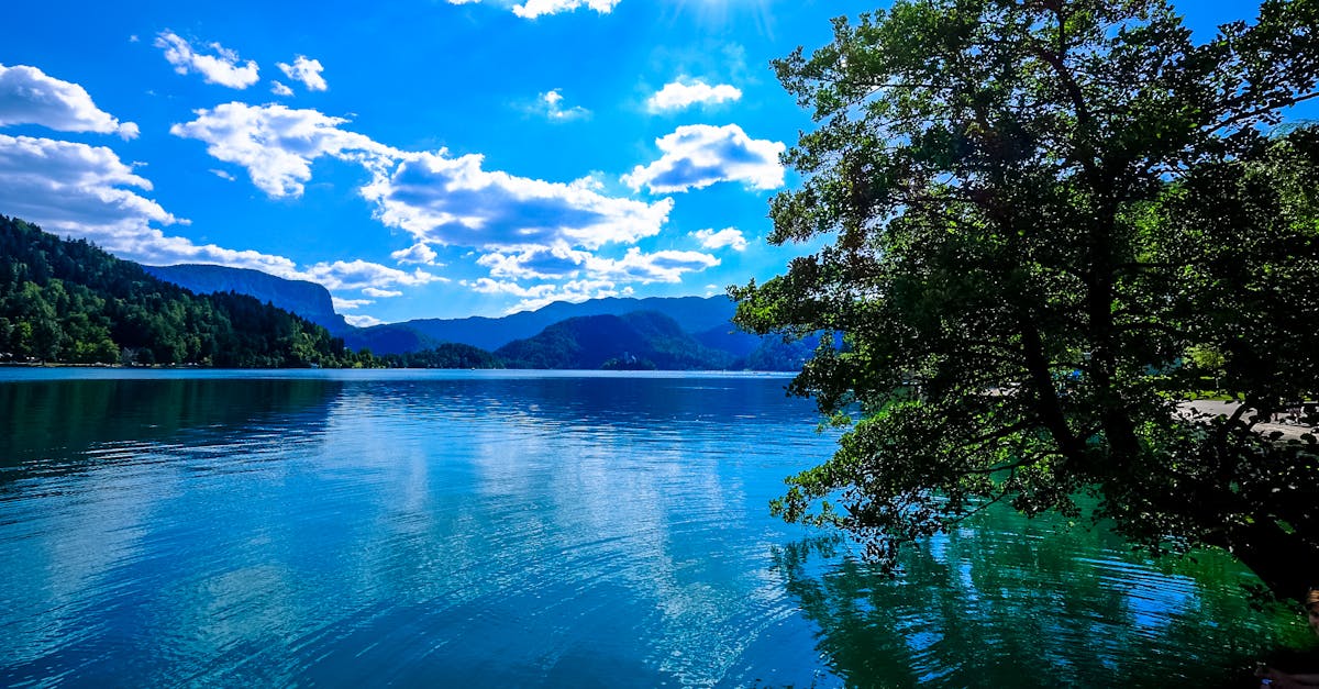 Jesus, the Better High Priest: Hebrews 4:14-16 Reveals Comfort, Grace, and Hope in Struggles Jesus, the Better High Priest: Hebrews 4:14-16 Reveals Comfort, Grace, and Hope in Struggles