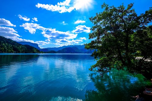 Free Beautiful scenic view of Lake Bled with clear blue water and lush greenery in Slovenia under a bright sky. Stock Photo