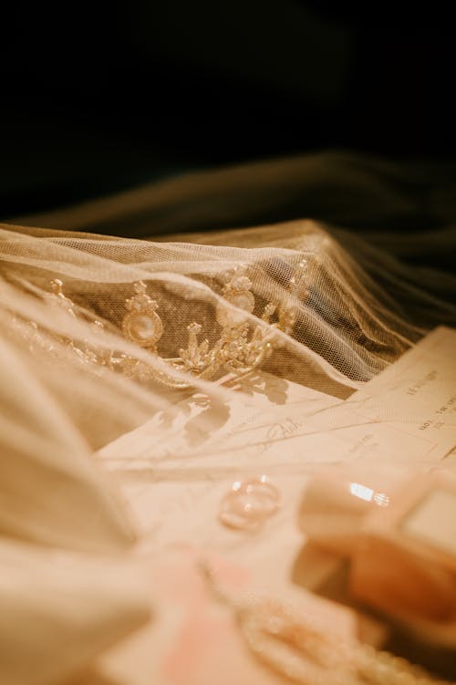 Abstract Image of Bridal Accessories under a Veil