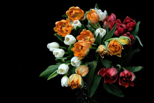 Photo of Multicolour Tulip Bouquet against Black Background