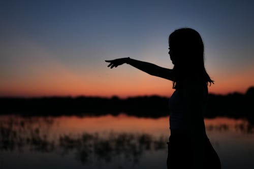 Foto profissional grátis de alvorecer, apontando, cair da noite