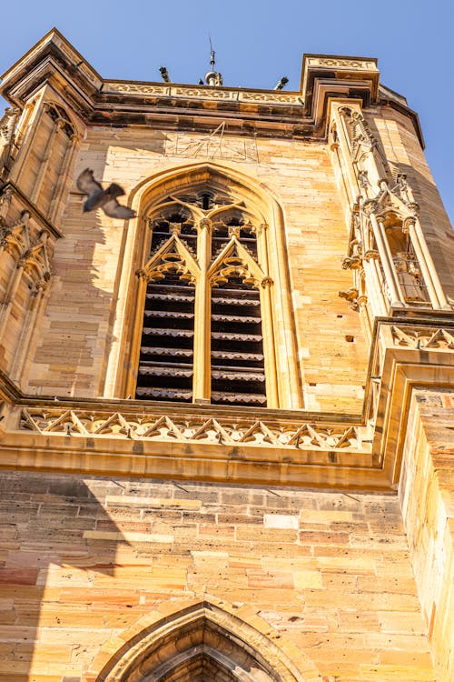 Základová fotografie zdarma na téma alsace, architektura, colmar