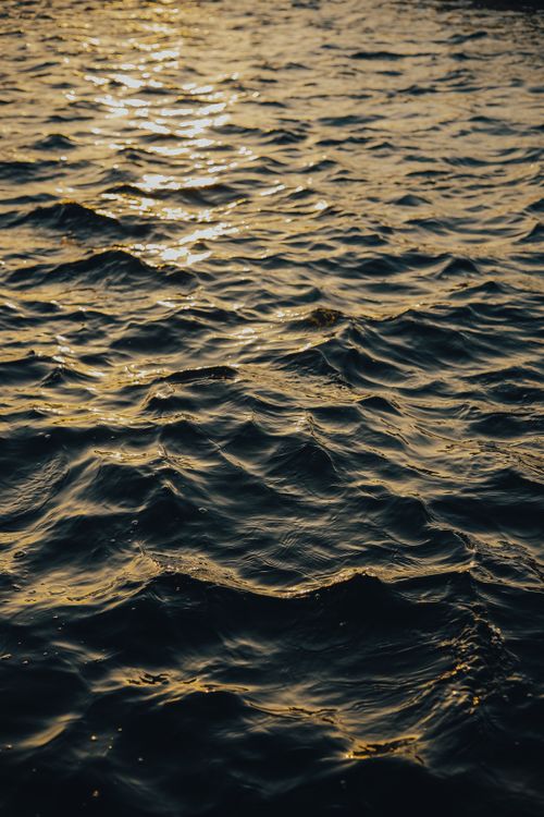 Free A serene view of ocean waves reflecting golden sunlight, creating a peaceful ambiance. Stock Photo