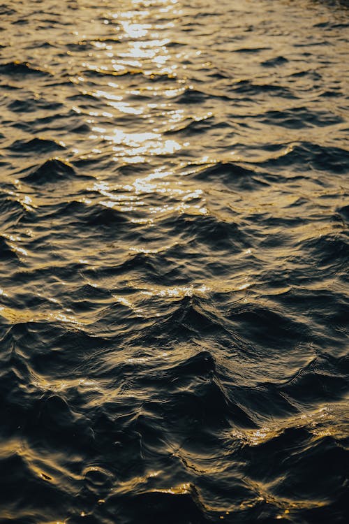 Sunlight Reflecting on the Ripples on the Surface of the Water