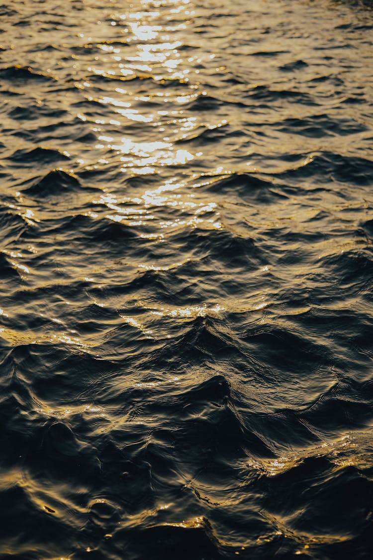 Sunlight Reflecting On The Ripples On The Surface Of The Water