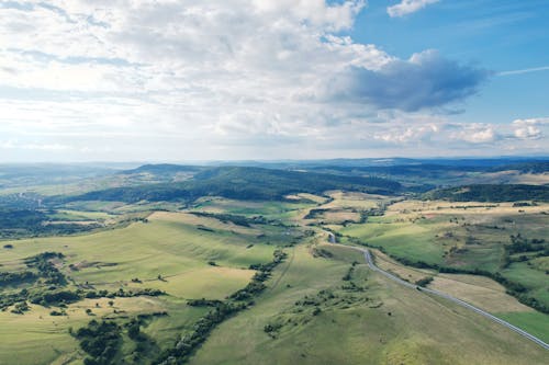 Foto d'estoc gratuïta de bosc, carretera, fotografia aèria