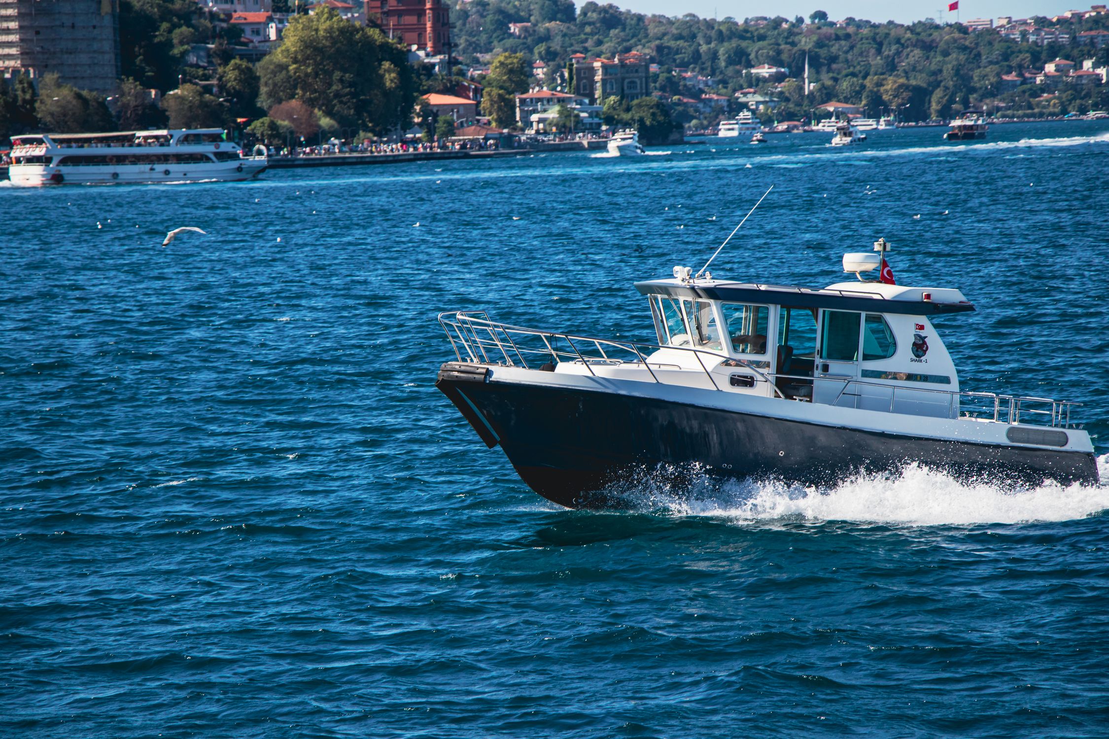 Motorboat on Sea Coast in Istanbul · Free Stock Photo