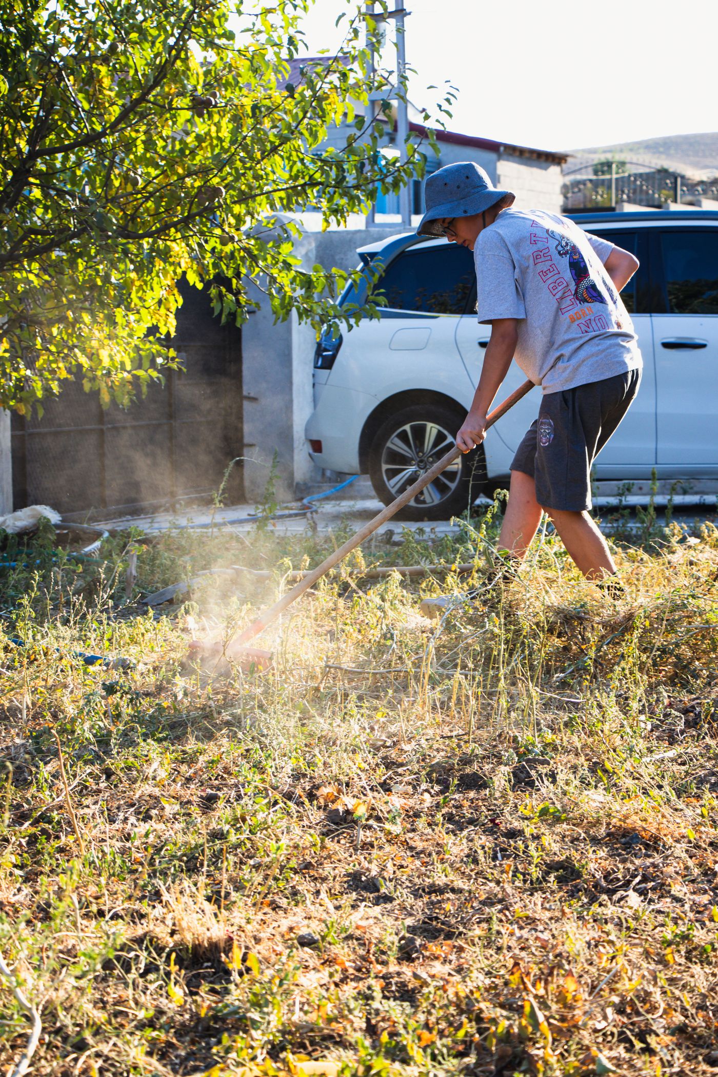 Person raking a yard during lawn maintenance