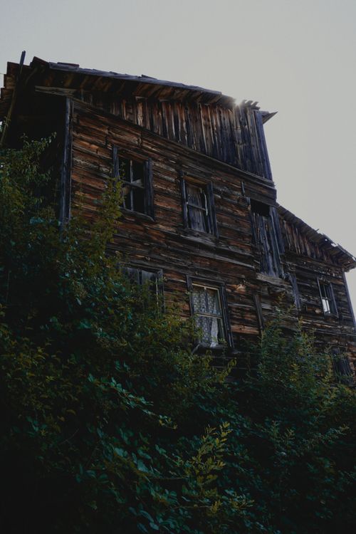 Free Aged wooden house enveloped by lush greenery, exuding a sense of isolation and history. Stock Photo