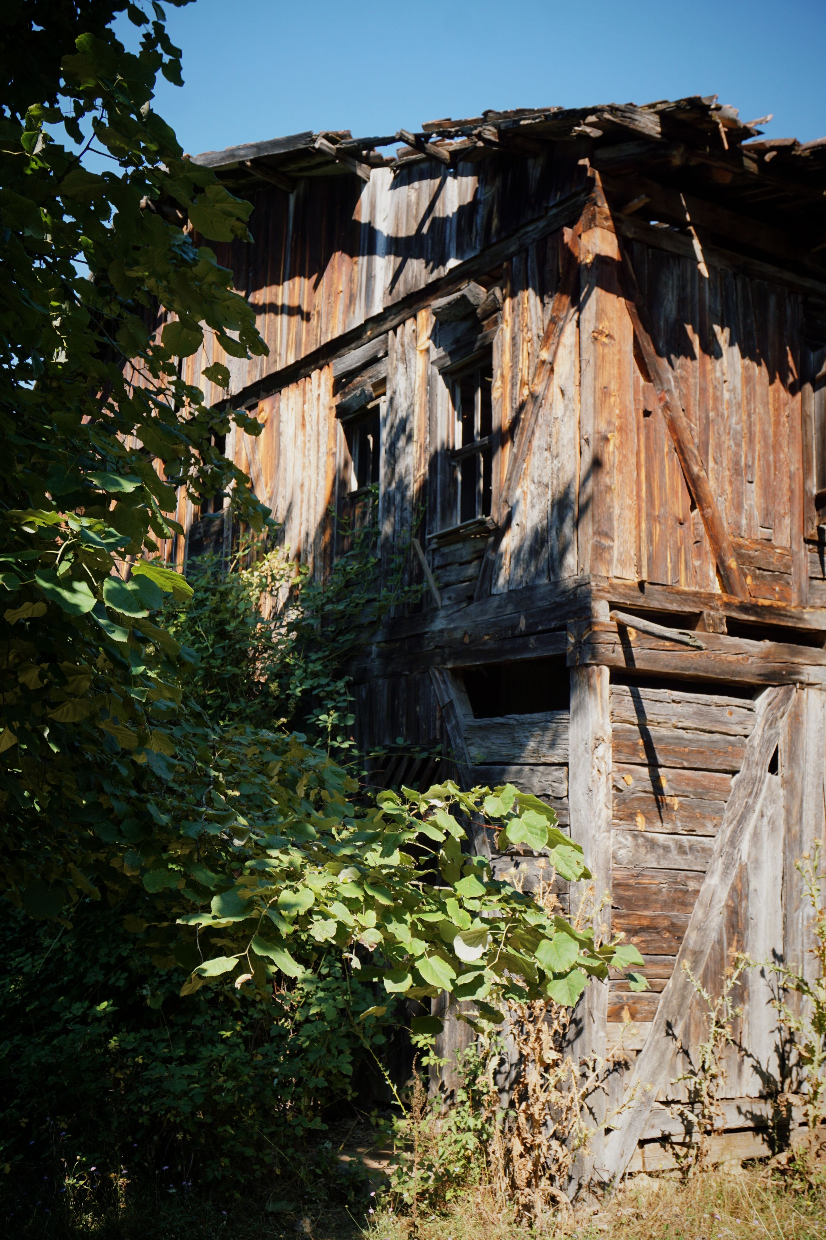 Wooden Destroyed Rural House · Free Stock Photo