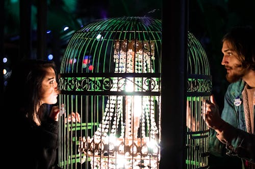Free stock photo of birdcage, chandelier, city