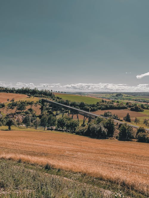 Imagine de stoc gratuită din agricultură, câmpuri, fotografiere verticală