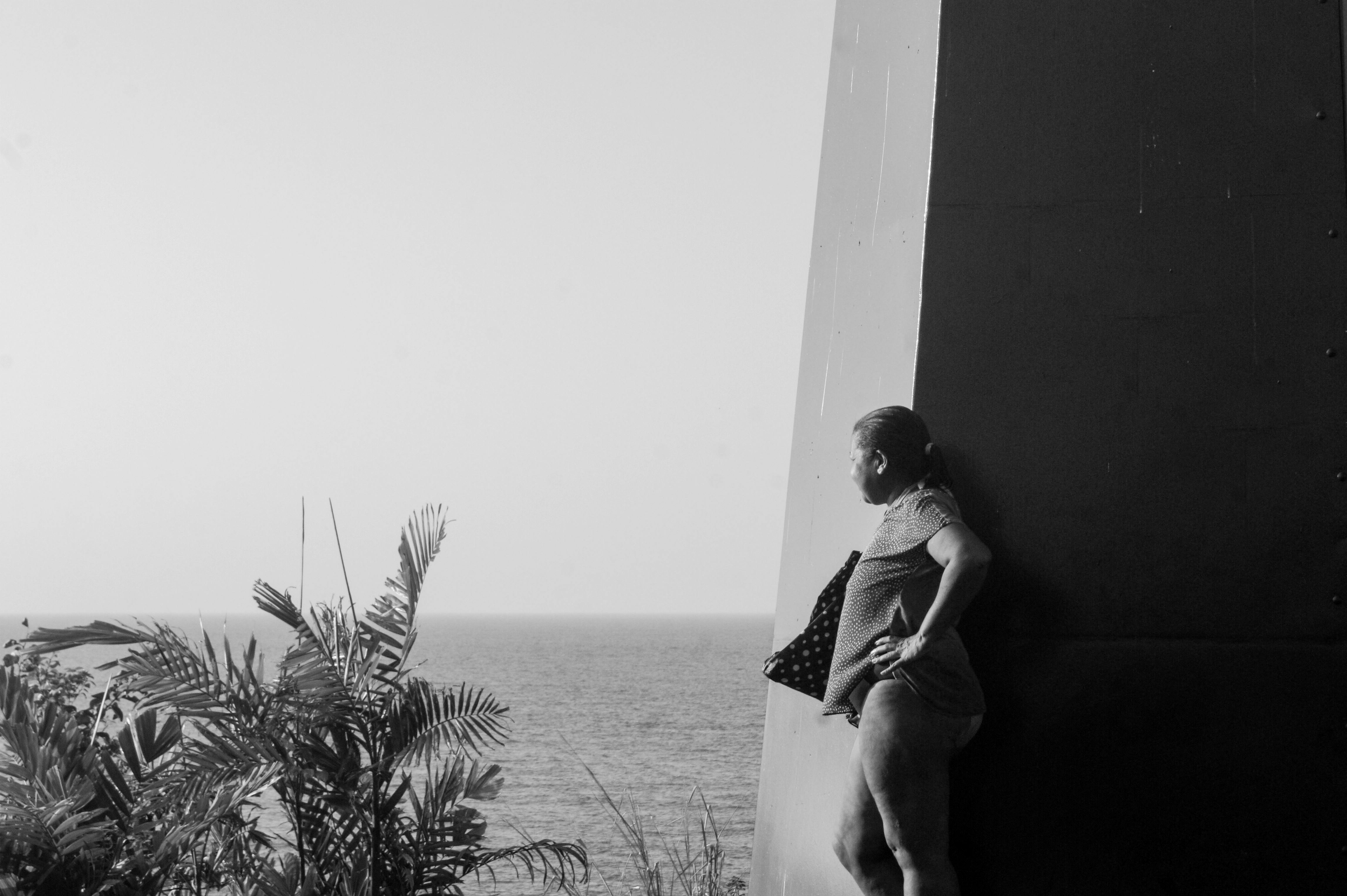 22.399+ Fotos y Imágenes de La sabana Gratis · Banco de Fotos Gratis